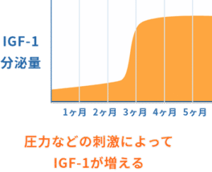 IGF-1